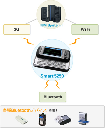 smart5250_06